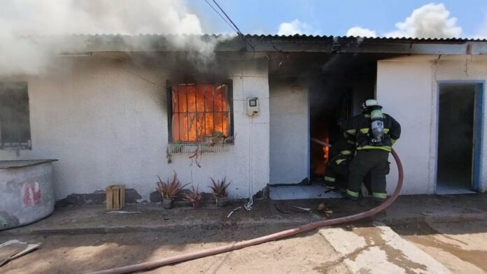 foto_0000000120221118113709